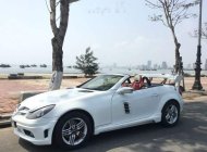 Mercedes-Benz SLK class SLK 280   2007 - Bán Mercedes SLK 280 2007, màu trắng, nhập khẩu giá 800 triệu tại Đà Nẵng