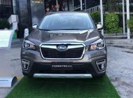 Subaru Forester   2019 - Cần bán xe Subaru Forester sản xuất năm 2019, thương hiệu Nhật Bản nỗi tiếng trong giới xe đua giá 990 triệu tại Cần Thơ