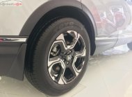 Honda CR V E 2019 - Bán xe Honda CR V E đời 2019, màu bạc, nhập khẩu, giá 983tr giá 983 triệu tại Bình Thuận  
