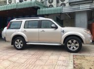 Ford Everest Limited 2009 - Bán ô tô Ford Everest Limited năm sản xuất 2009, màu vàng, giá tốt giá 485 triệu tại Tp.HCM