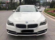BMW 5 Series 520i 2014 - Bán BMW 520i sản xuất 2014, màu trắng, nhập khẩu   giá 1 tỷ 390 tr tại Hà Nội