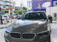 BMW 5 Series 2019 - BMW 5 Series 530i - Luxury, nhập khẩu nguyên chiếc từ Đức, xe chuẩn từ Châu Âu - giảm giá mạnh giá 3 tỷ 69 tr tại Tp.HCM