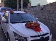 Chevrolet Cruze    LS  2010 - Bán Chevrolet Cruze LS năm 2010, màu trắng, xe rất đẹp và êm giá 290 triệu tại Ninh Thuận