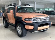 Toyota Fj cruiser 4x4 AT 2008 - Bán xe Toyota Fj cruiser 4WD AT năm sản xuất 2008, xe nhập giá 1 tỷ 250 tr tại Tp.HCM