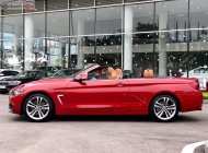 BMW 4 Series 420i Convertible 2019 - Bán BMW 4 Series 420i năm sản xuất 2019, màu đỏ, nhập khẩu giá 2 tỷ 850 tr tại Hà Nội