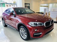 BMW X6 2019 - Bán BMW X6 35i Coupe, màu đỏ, xe nhập khẩu Đức, hầm hố, thể thao giá 3 tỷ 969 tr tại Tp.HCM