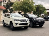 Nissan X Terra  2.5 2WD MT 2019 - Cần bán Nissan X Terra đời 2019, xe nhập, giá 859tr giá 859 triệu tại Quảng Ngãi