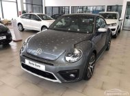 Volkswagen Beetle   Dune  2019 - Bán Volkswagen Beetle Dune năm 2019, màu xám, nhập khẩu   giá 1 tỷ 499 tr tại Tp.HCM