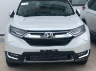 Honda CR V  1.5 TURBO  2019 - Bán Honda CR V 1.5 TURBO năm 2019, nhập khẩu Thái Lan giá 1 tỷ 93 tr tại Long An