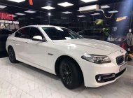 BMW 5 Series 520i 2015 - Bán BMW 5 Series 520i năm sản xuất 2015, màu trắng giá 1 tỷ 300 tr tại Hà Nội