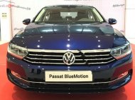 Volkswagen Passat Bluemotion 2019 - Bán Volkswagen Passat Bluemotion SX 2019, màu xanh lam, nhập khẩu nguyên chiếc giá 1 tỷ 480 tr tại Khánh Hòa