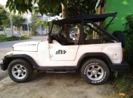 Jeep CJ 2005 - Cần bán lại xe Jeep CJ năm 2005, hai màu giá 100 triệu tại Bình Dương