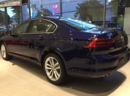 Volkswagen Passat 2019 - Bán ô tô Volkswagen Passat 2019, màu xanh lam, xe nhập giá 1 tỷ 480 tr tại Khánh Hòa