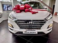Hyundai Tucson   2019 - Bán Hyundai Tucson năm sản xuất 2019, màu trắng, giá 799tr giá 799 triệu tại Kiên Giang