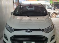 Ford EcoSport Titanium 2016 - Chính chủ bán Ford EcoSport Titanium đời 2016, màu trắng, nhập khẩu giá 510 triệu tại Hưng Yên