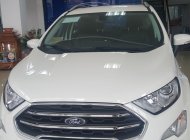 Ford EcoSport 2019 - Ecosport giảm giá kịch sàn, ưu đãi tặng nhiều phụ kiện. Liên hệ 0865660630 giá 595 triệu tại Thái Bình