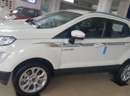 Ford EcoSport 2019 - Ecosport giảm giá kịch sàn, ưu đãi tặng nhiều phụ kiện. Liên hệ 0865660630 giá 595 triệu tại Hà Nam