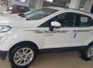 Ford EcoSport 2019 - Ecosport giảm giá kịch sàn, ưu đãi tặng nhiều phụ kiện giá 595 triệu tại Hà Giang