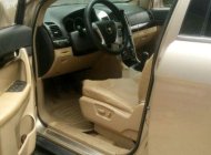 Chevrolet Captiva    2007 - Xe Chevrolet Captiva năm 2007, xe nhập số sàn  giá 300 triệu tại Hậu Giang