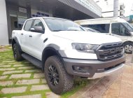 Ford Ranger 2019 - Cần bán xe Ford Ranger năm 2019, màu trắng, xe nhập giá 1 tỷ 198 tr tại Cà Mau