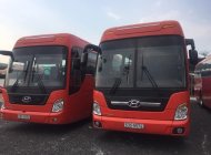 Hyundai Universe   2008 - Bán Hyundai Universe năm 2008, màu đỏ, nhập khẩu Hàn Quốc giá 1 tỷ 350 tr tại Hà Nội