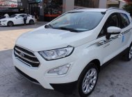 Ford EcoSport 2019 - Cần bán Ford EcoSport Titanium 1.5 AT 2019, giá hấp dẫn giá 610 triệu tại Kiên Giang