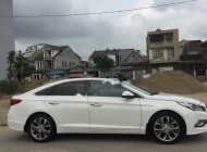 Hyundai Sonata 2015 - Cần bán gấp Hyundai Sonata sản xuất 2015, màu trắng, nhập khẩu, 690 triệu giá 690 triệu tại Nghệ An