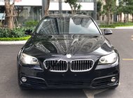 BMW 5 Series 520i 2015 - Bán ô tô BMW 5 Series đời 2015, màu đen, nhập khẩu nguyên chiếc giá 1 tỷ 359 tr tại Hà Nội
