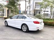 BMW 5 Series 523i 2011 - Bán BMW 5 Series 523i sản xuất năm 2011, màu trắng, xe nhập giá 845 triệu tại Hà Nội