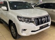 Toyota Prado VX 2019 - Bán Toyota Prado VX năm 2019, màu trắng, xe nhập như mới giá 2 tỷ 380 tr tại Hà Nội