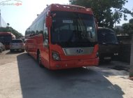 Hyundai Universe 2008 - Bán Hyundai Universe 2008, nhập khẩu chính hãng giá 1 tỷ 260 tr tại Hà Nội