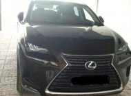 Lexus NX 300T 2018 - Bán ô tô Lexus NX 300T đời 2018, màu nâu, nhập khẩu chính chủ, giá tốt giá 2 tỷ 450 tr tại Tp.HCM