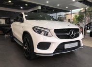 Mercedes-Benz GLE-Class 2019 - Bán nhanh chiếc xe Mercedes GLE 43 AMG 4Matic Coupe, sản xuất 2019, màu trắng, nhập khẩu nguyên chiếc giá 4 tỷ 559 tr tại Tp.HCM