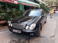 Mercedes-Benz E class 2002 - Cần bán Mercedes đời 2002, nhập khẩu, giá 195tr giá 195 triệu tại Tp.HCM