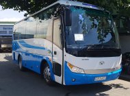 Hyundai Universe 2017 - Bán nhanh chiếc xe Hyundai Universe 35 chỗ, sản xuất 2017, giá cạnh tranh, giao xe nhanh tận nhà giá 1 tỷ 339 tr tại Tp.HCM