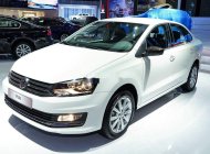 Volkswagen Polo   2020 - Bán xe Volkswagen Polo đời 2020, nhập khẩu nguyên chiếc giá 695 triệu tại Đà Nẵng