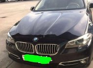 BMW 5 Series  520i  2015 - Cần bán xe BMW 5 Series 520i đời 2015, xe nhập giá 1 tỷ 200 tr tại Tp.HCM