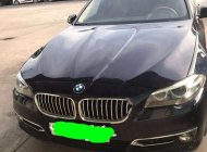 BMW 5 Series 520i 2015 - Bán BMW 5 Series 520i năm sản xuất 2015, màu đen giá 1 tỷ 195 tr tại Tp.HCM
