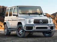 Mercedes-Benz G class 2019 - Ưu đãi đón tết chiếc xe Mercedes-Benz G63 AMG, sản xuất 2019, màu bạc, xe nhập khẩu nguyên chiếc giá 11 tỷ 866 tr tại Tp.HCM