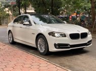 BMW 5 Series 2015 - Bán xe BMW 5 Series đời 2015, màu trắng, nhập khẩu giá 1 tỷ 390 tr tại Hà Nội