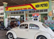 Volkswagen Beetle 1980 - Cần bán xe Volkswagen Beetle đời 1980, xe nhập giá 123 triệu tại Tp.HCM