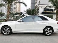 Mercedes-Benz E class 2014 - Bán Mercedes đời 2014, màu trắng giá 1 tỷ 20 tr tại Hải Dương