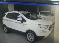 Ford EcoSport 2019 - Bán xe Ford EcoSport đời 2019, màu trắng, nhập khẩu nguyên chiếc, giá 650tr giá 650 triệu tại Thái Bình