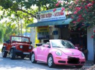 Volkswagen Beetle   2009 - Bán Volkswagen Beetle sản xuất năm 2009, xe mui trần xếp điện giá 520 triệu tại Vĩnh Long