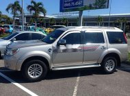 Ford Everest 2010 - Cần bán xe Ford Everest 2010, màu bạc, 435 triệu giá 435 triệu tại Ninh Thuận