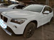 BMW X1   2010 - Bán BMW X1 năm sản xuất 2010, màu trắng, nhập khẩu   giá 475 triệu tại Đồng Nai