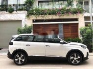 Peugeot 5008 2019 - Bán ô tô Peugeot 5008 năm 2019, màu trắng giá 1 tỷ 250 tr tại Bình Định