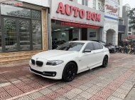 Cần bán lại xe BMW 5 Series 520i sản xuất 2016, màu trắng, nhập khẩu nguyên chiếc giá 1 tỷ 499 tr tại Hà Nội
