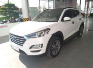 Hyundai Tucson   2019 - Bán Hyundai Tucson đời 2019, màu trắng, nhập khẩu giá 930 triệu tại Bình Thuận  