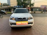 Lexus GX   2010 - Bán Lexus GX460 sản xuất 2010, màu trắng xe gia đình giá 1 tỷ 590 tr tại Gia Lai